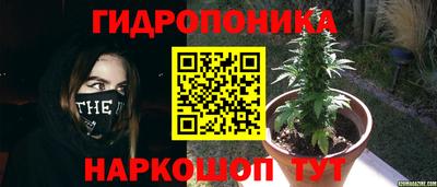 mdma Заводоуковск
