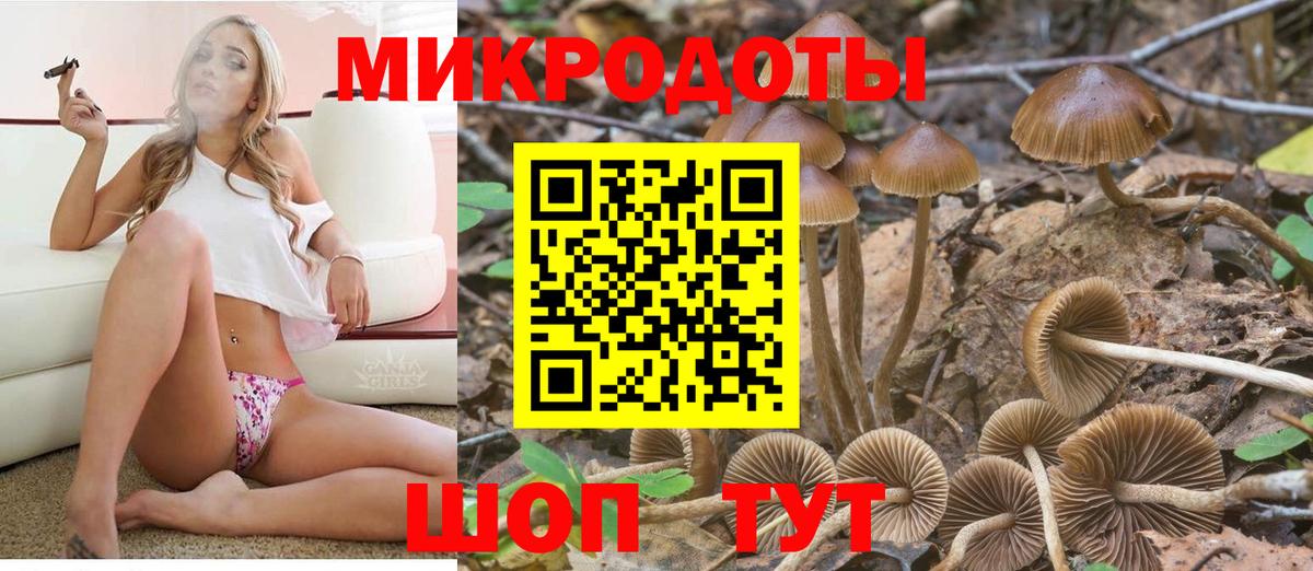 Галлюциногенные грибы MAGIC MUSHROOMS  Галлюциногенные грибы Magic Shrooms  Нефтекумск  Вход с VPN 